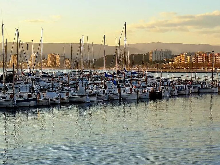 Commercial for Sale in Palamós, Gerona 17