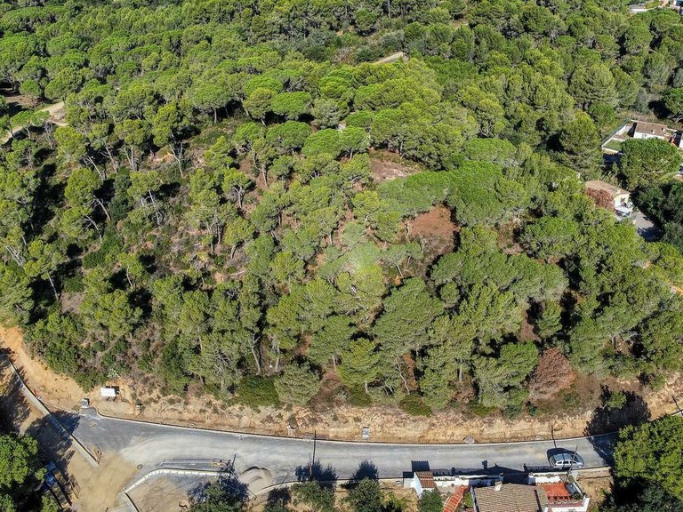 Plot for Sale in Palamós, Gerona 5
