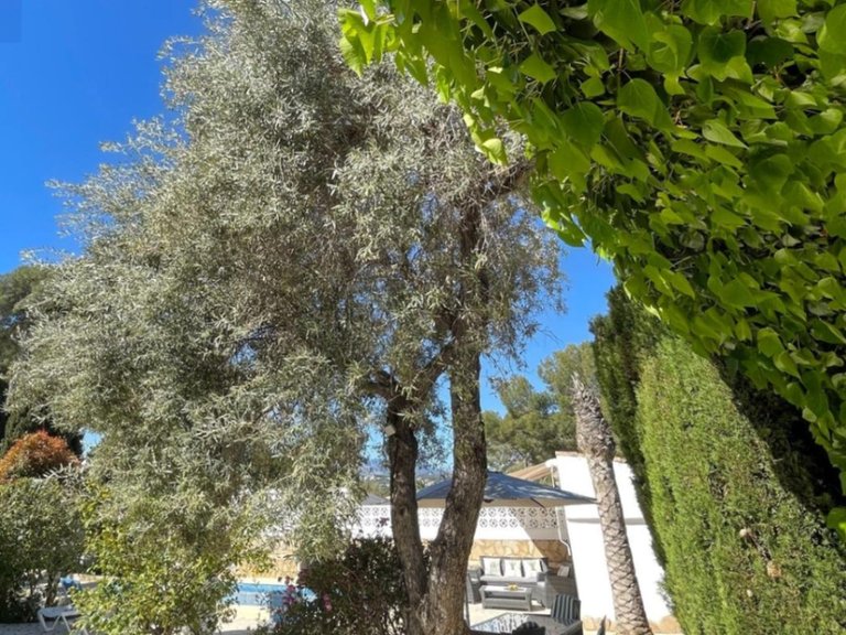 Villa for Sale in Costa Blanca Moraira, Alicante 23