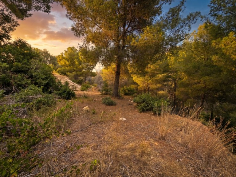 Plot for Sale in Costa Blanca Benissa, Alicante 6