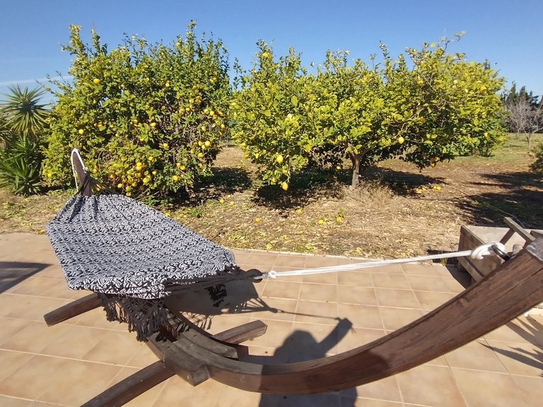 Villa for Sale in Inland Avileses, Murcia 35