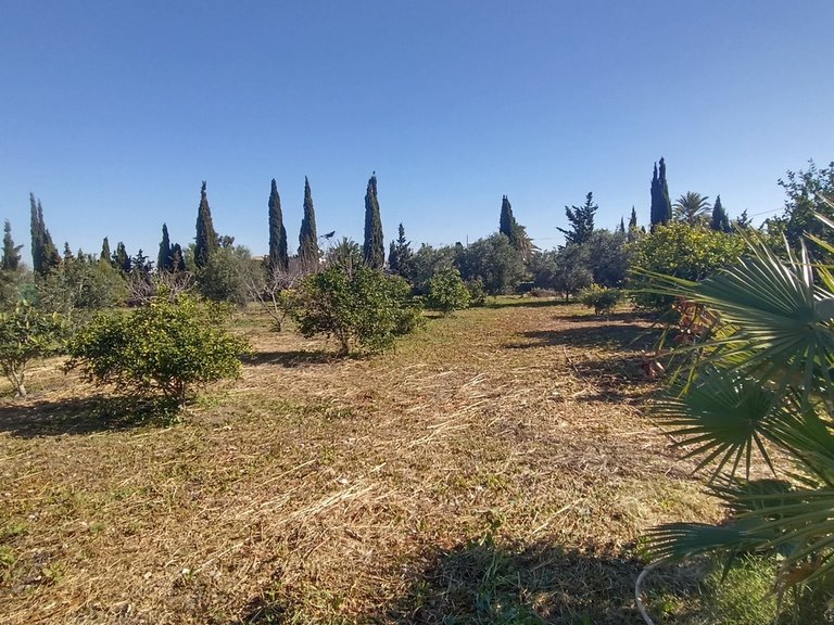 Villa for Sale in Inland Avileses, Murcia 36