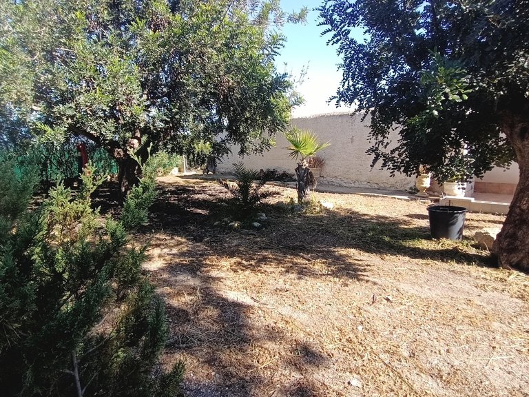 Villa for Sale in Inland Avileses, Murcia 38