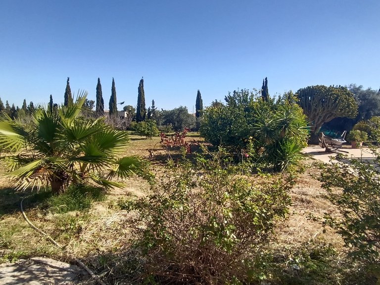 Villa for Sale in Inland Avileses, Murcia 39