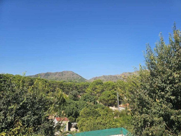 Villa for Rent in BIXQUERT, Xativa, Valencia 39