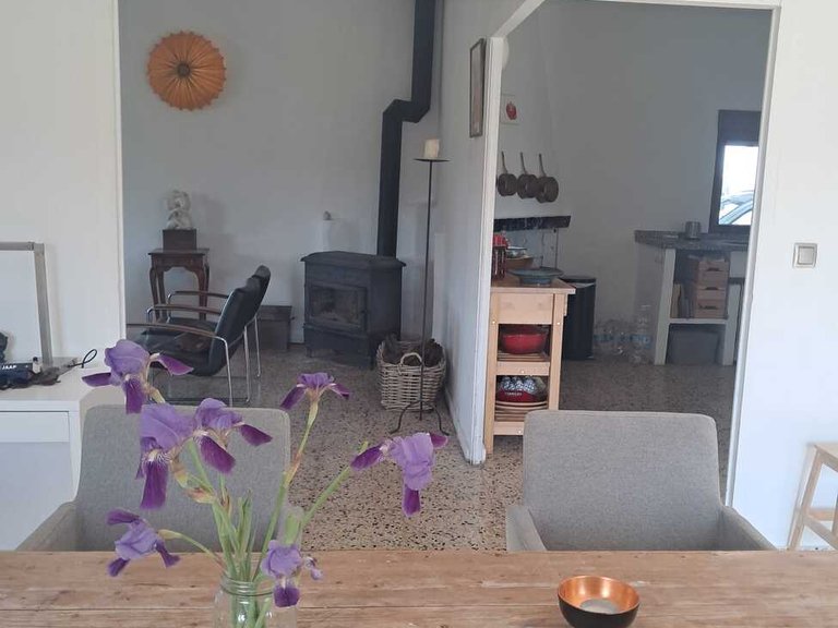 Country House for Sale in Barxeta/Pla de Corrals, Xativa, Valencia 21