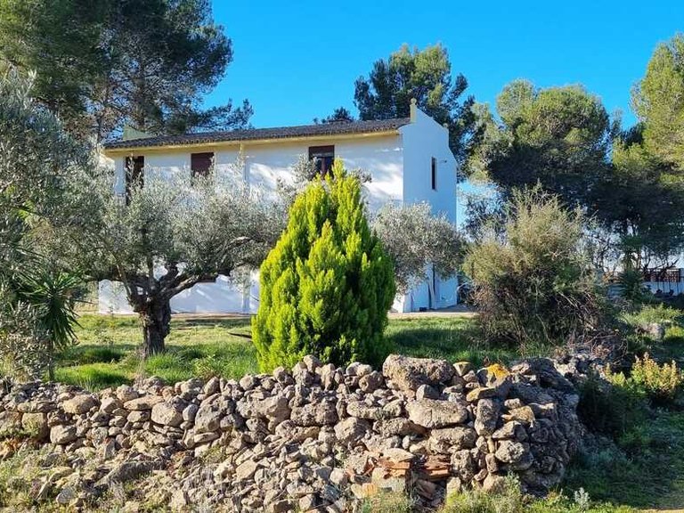 Country House for Sale in Barxeta/Pla de Corrals, Xativa, Valencia 6