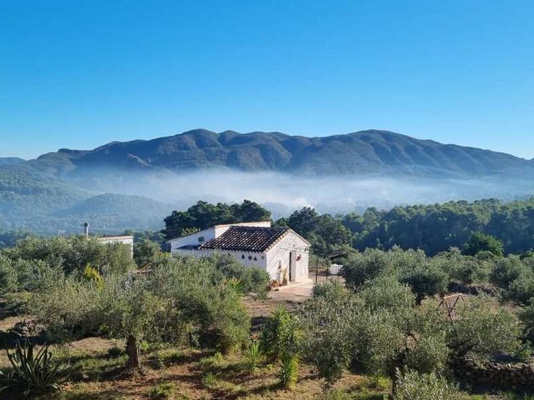 Country House for Sale in Barxeta/Pla de Corrals, Xativa, Valencia 10