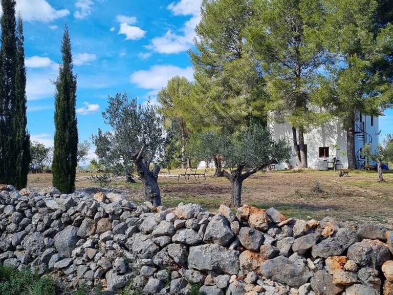 Country House for Sale in Barxeta/Pla de Corrals, Xativa, Valencia 50