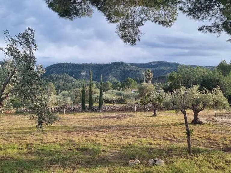 Country House for Sale in Barxeta/Pla de Corrals, Xativa, Valencia 14