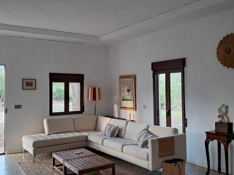 Country House for Sale in Barxeta/Pla de Corrals, Xativa, Valencia 17