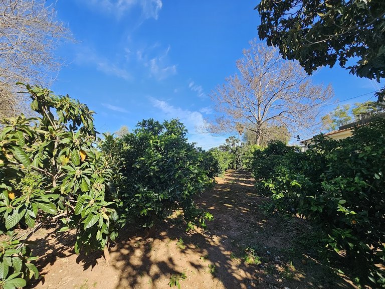Country House for Sale in Inland, Canals, Valencia 41