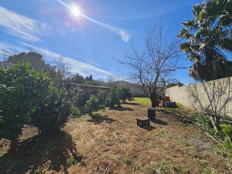 Country House for Sale in Inland, Canals, Valencia 42