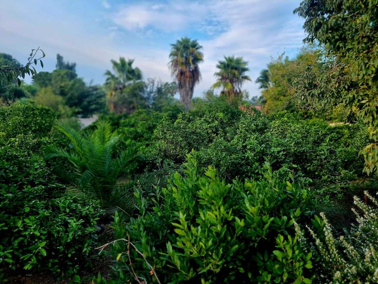 Country House for Sale in Inland, Canals, Valencia 38