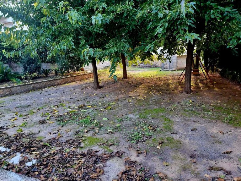 Country House for Sale in Inland, Canals, Valencia 39