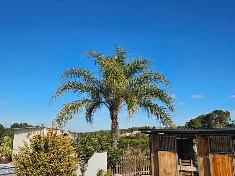 Country House for Sale in Llocnou den Fennolet, Xativa, Valencia 5