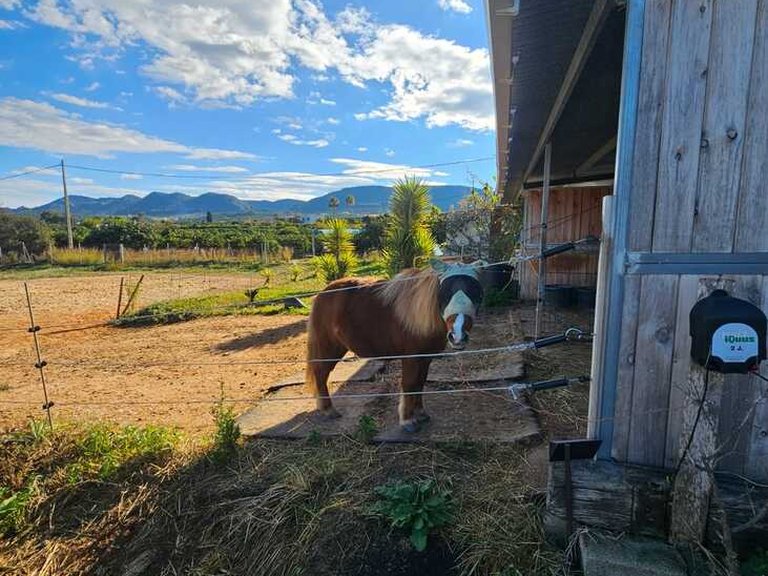 Country House for Sale in Llocnou den Fennolet, Xativa, Valencia 45