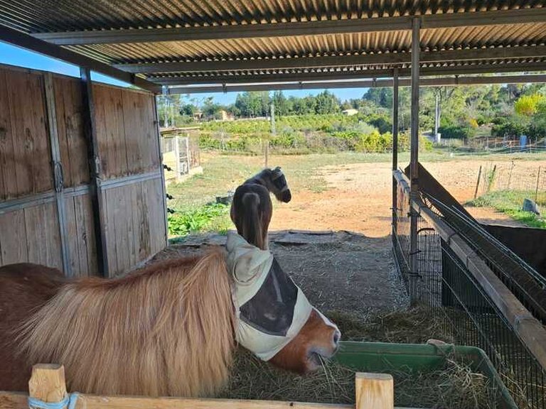 Country House for Sale in Llocnou den Fennolet, Xativa, Valencia 44