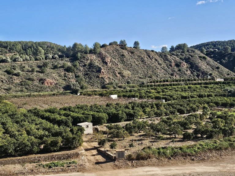 Town House for Sale in Sellent, Xativa, Valencia 4