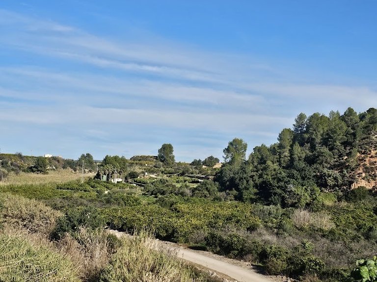 Town House for Sale in Sellent, Xativa, Valencia 5