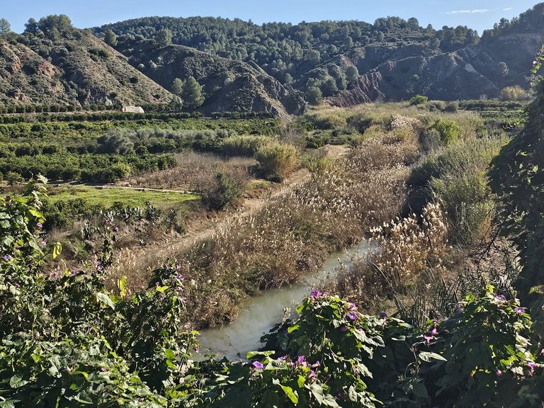 Town House for Sale in Sellent, Xativa, Valencia 6