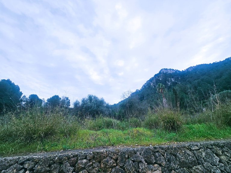 Country House for Sale in Pla de Corrals, Xativa, Valencia 7