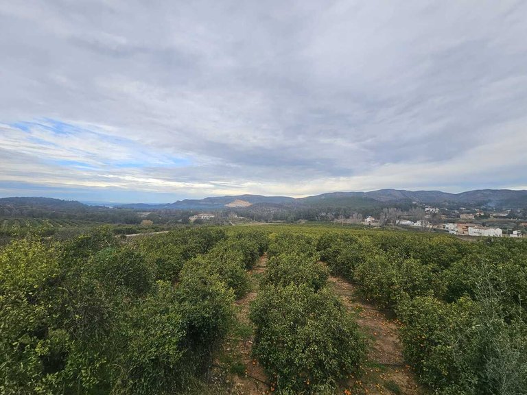 Country House for Sale in Pla de Corrals, Xativa, Valencia 50