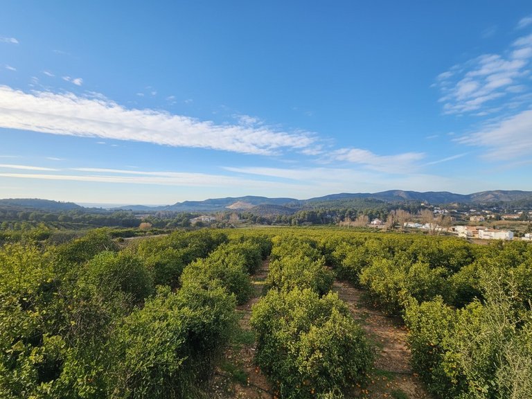 Country House for Sale in Pla de Corrals, Xativa, Valencia 10