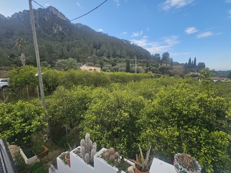 Country House for Sale in Pla de Corrals, Xativa, Valencia 9