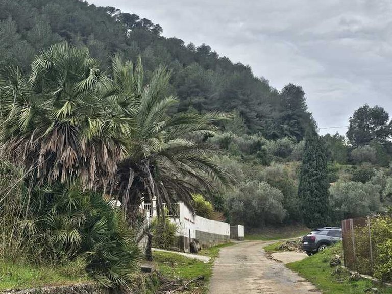 Country House for Sale in Pla de Corrals, Xativa, Valencia 5