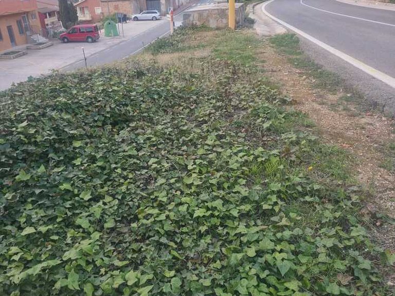 Town House for Sale in Inland, Navarres, Valencia 38