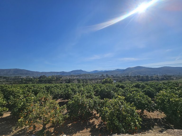 Country House for Sale in Inland, Canals, Valencia 4