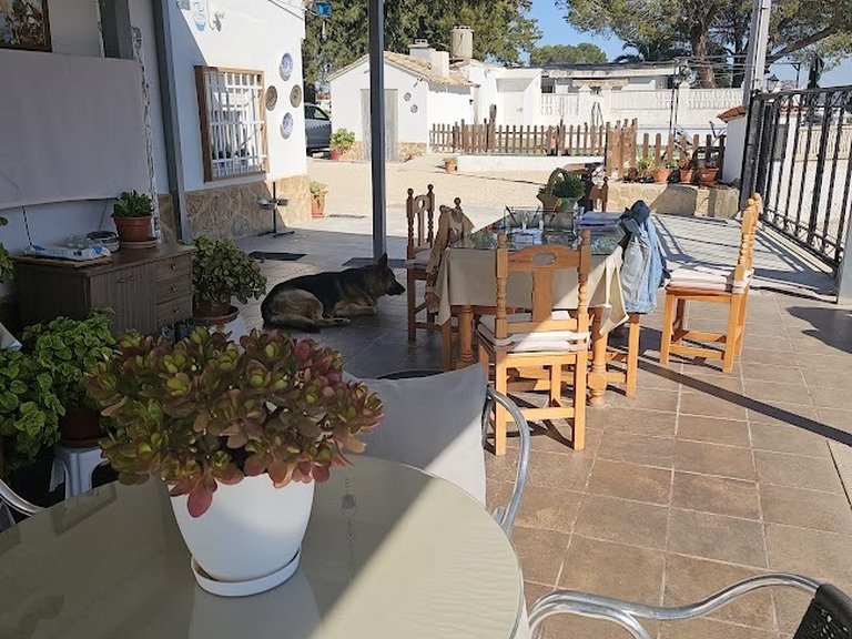 Country House for Sale in Inland, Canals, Valencia 6