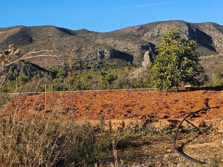 Country House for Sale in Pla de Corrals, Xativa, Valencia 39