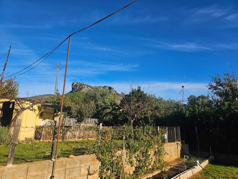 Country House for Sale in Pla de Corrals, Xativa, Valencia 40