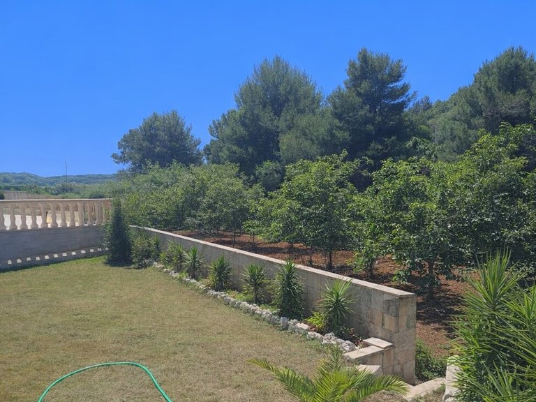 Country House for Sale in Inland, Chella, Valencia 8