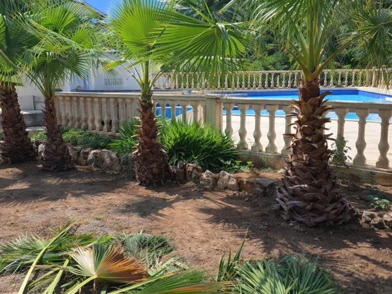 Country House for Sale in Inland, Chella, Valencia 29