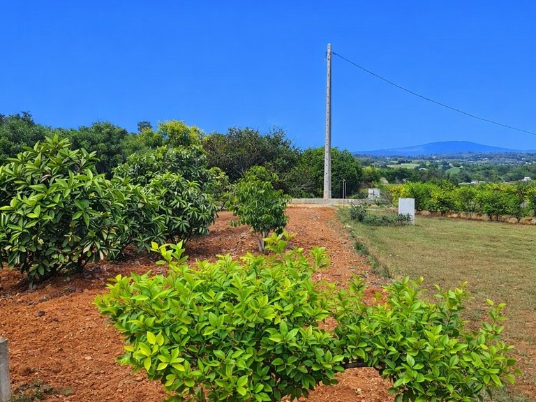 Country House for Sale in Inland, Chella, Valencia 38