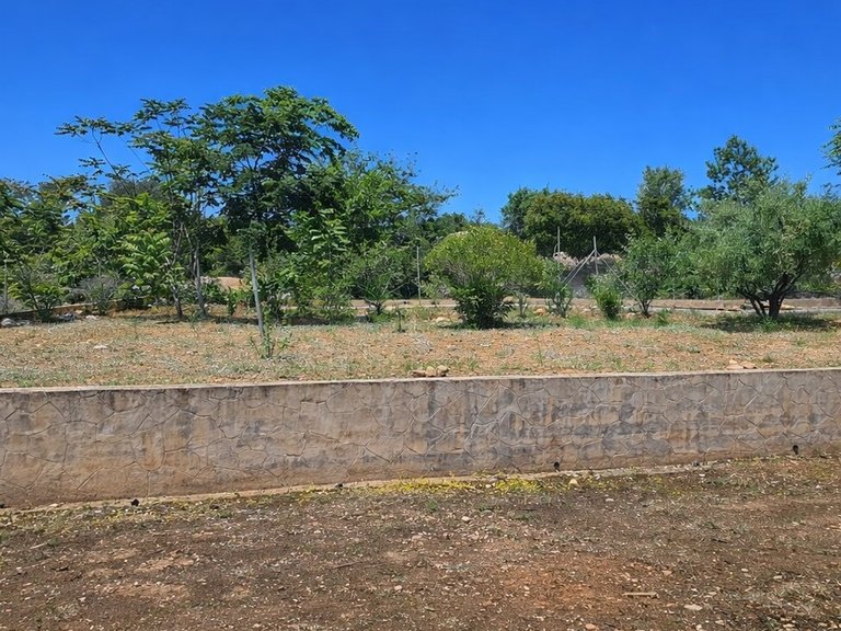 Country House for Sale in Inland, Chella, Valencia 43