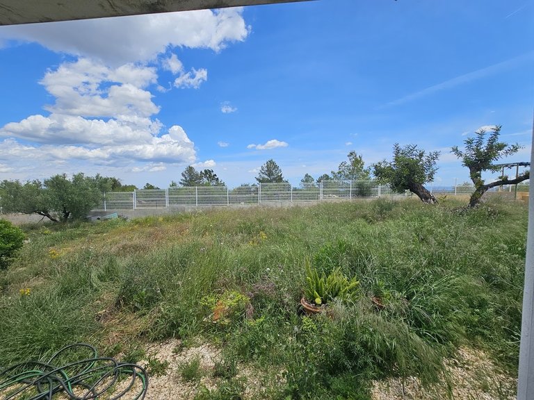 Country House for Sale in Canal De Navarres, Valencia 37