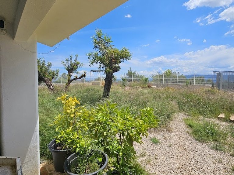 Country House for Sale in Canal De Navarres, Valencia 38