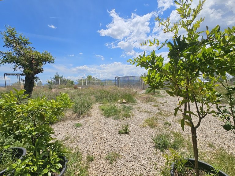 Country House for Sale in Canal De Navarres, Valencia 39