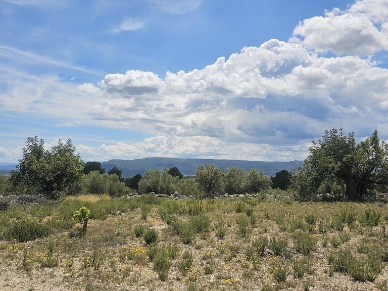 Country House for Sale in Canal De Navarres, Valencia 40