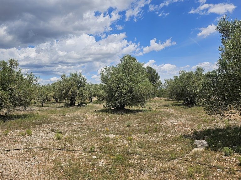 Country House for Sale in Canal De Navarres, Valencia 41