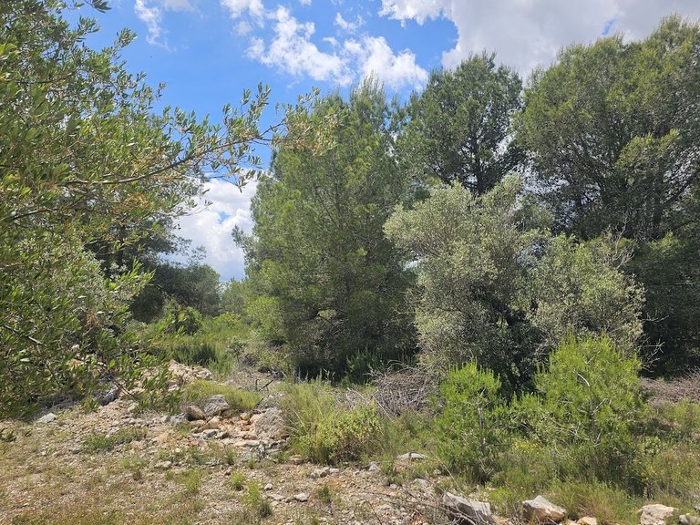 Country House for Sale in Canal De Navarres, Valencia 43