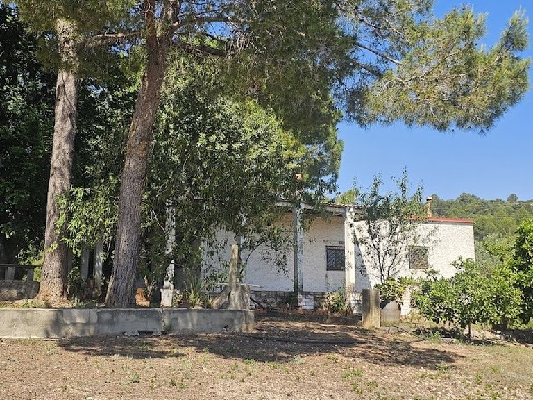Country House for Sale in Inland, Canals, Valencia 3