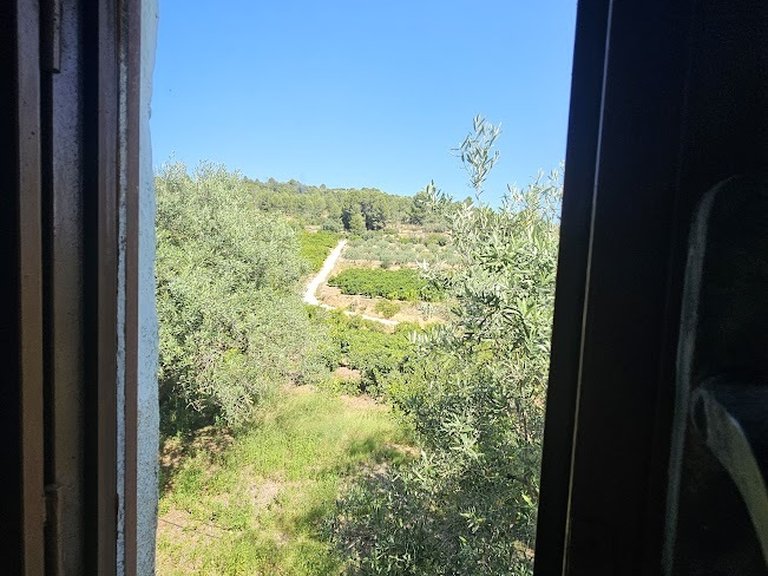 Country House for Sale in Inland, Canals, Valencia 38