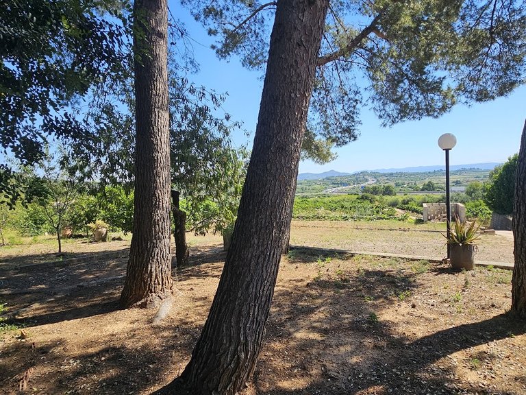 Country House for Sale in Inland, Canals, Valencia 40