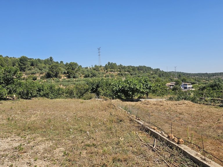 Country House for Sale in Inland, Canals, Valencia 41