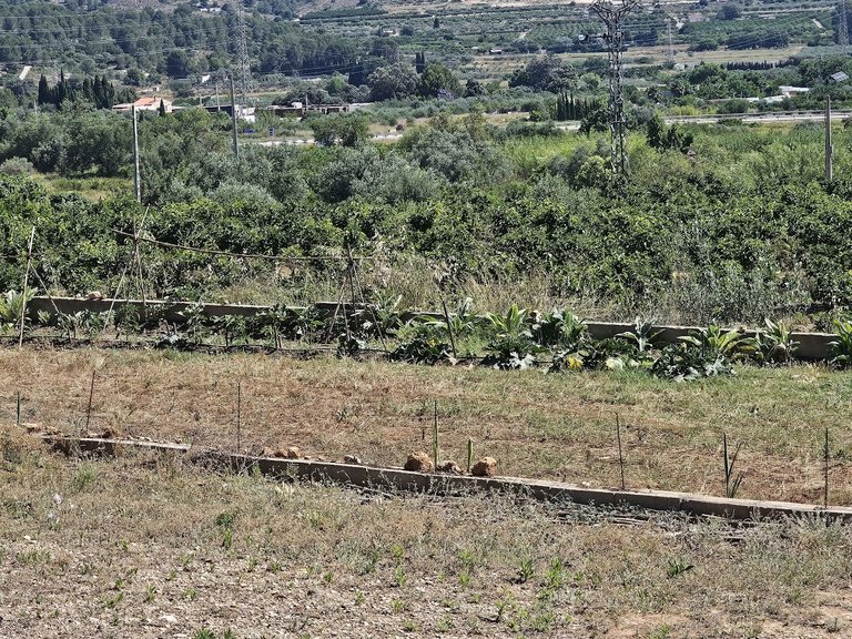 Country House for Sale in Inland, Canals, Valencia 42